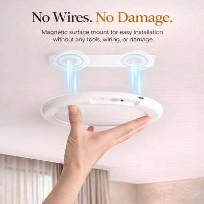 Chittea™ - The Revolutionary Pot Light