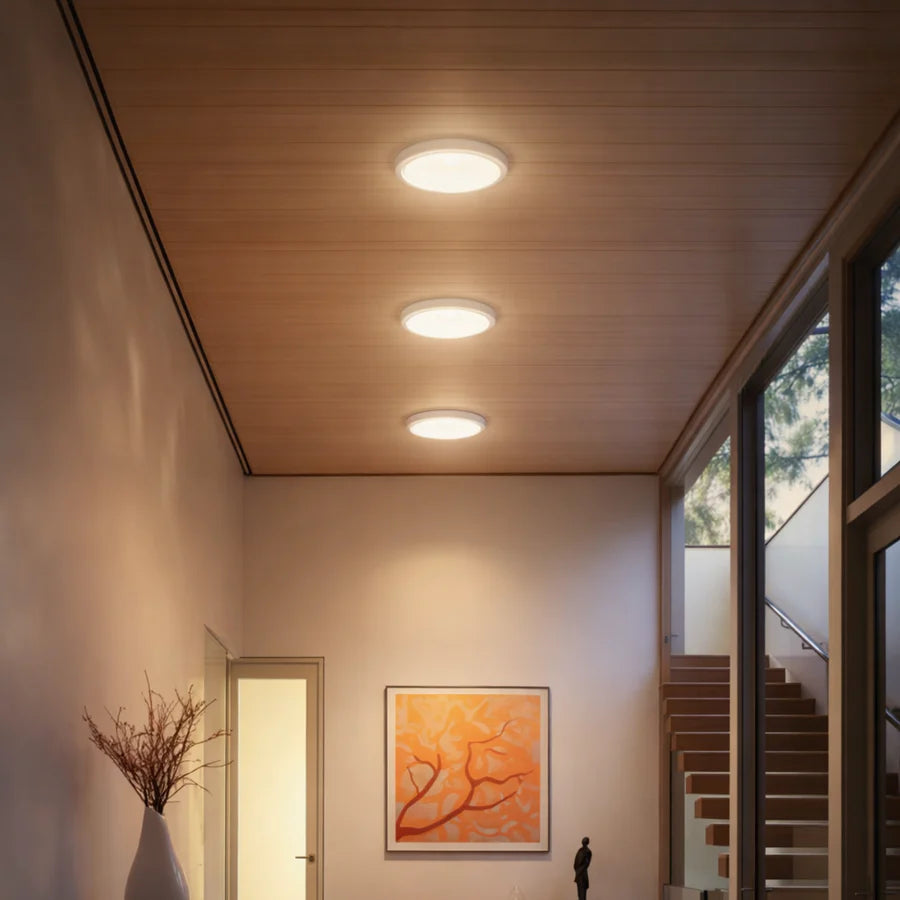 Chittea™ - The Revolutionary Pot Light